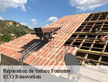 Réparation de toiture  fontenay-76290 ECO Rénovation