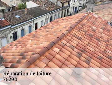 Réparation de toiture  fontenay-76290 ECO Rénovation