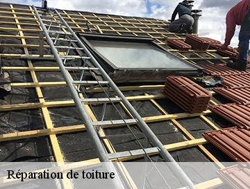 Réparation de toiture  fontenay-76290 ECO Rénovation