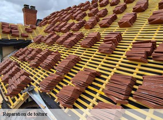 Réparation de toiture  fontenay-76290 ECO Rénovation