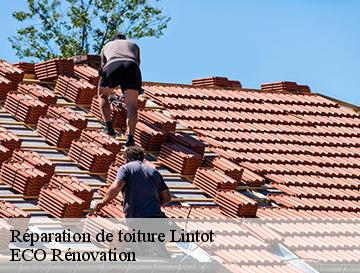 Réparation de toiture  lintot-76210 ECO Rénovation