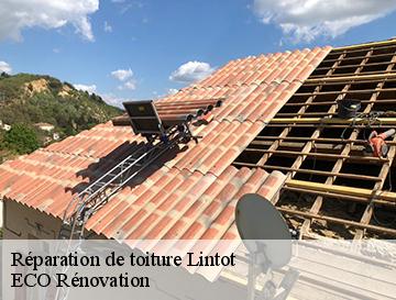 Réparation de toiture  lintot-76210 ECO Rénovation