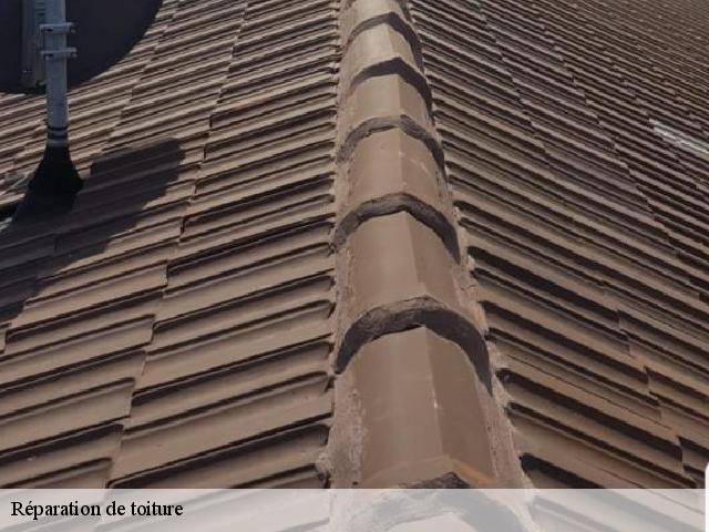 Réparation de toiture  maulevrier-sainte-gertrude-76490 RS couvreur 76