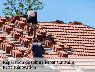 Réparation de toiture  mont-cauvaire-76690 ECO Rénovation