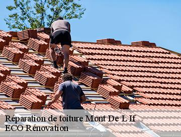 Réparation de toiture  mont-de-l-if-76190 ECO Rénovation