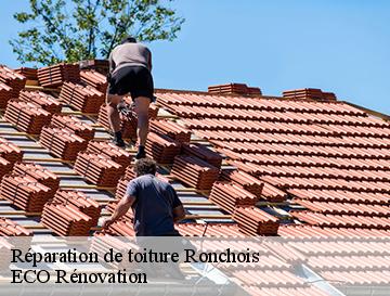 Réparation de toiture  ronchois-76390 ECO Rénovation