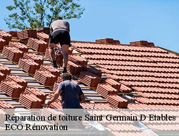 Réparation de toiture  saint-germain-d-etables-76590 ECO Rénovation
