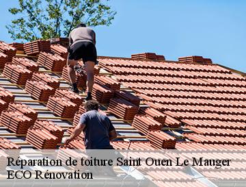 Réparation de toiture  saint-ouen-le-mauger-76730 ECO Rénovation