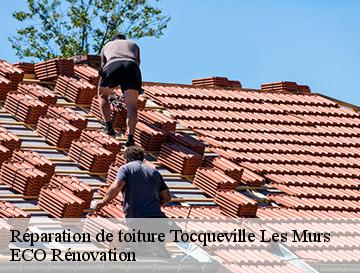Réparation de toiture  tocqueville-les-murs-76110 ECO Rénovation