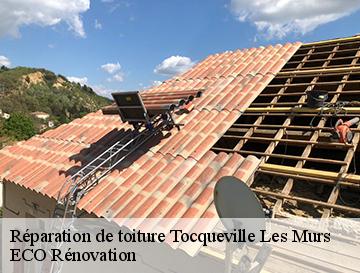 Réparation de toiture  tocqueville-les-murs-76110 ECO Rénovation