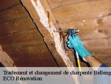 Traitement et changement de charpente  bellengreville-76630 ECO Rénovation