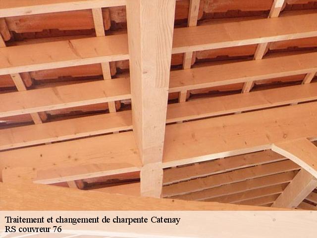 Traitement et changement de charpente  catenay-76116 RS couvreur 76