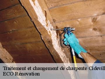 Traitement et changement de charpente  cideville-76570 ECO Rénovation