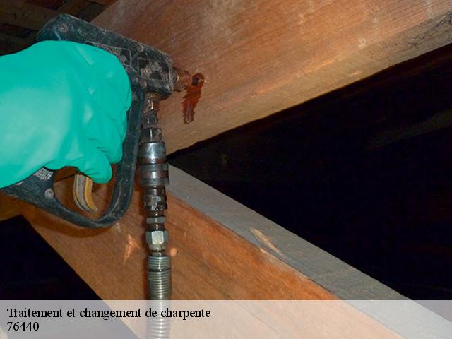 Traitement et changement de charpente  fontaine-en-bray-76440 RS couvreur 76