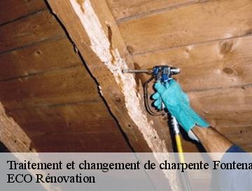 Traitement et changement de charpente  fontenay-76290 ECO Rénovation