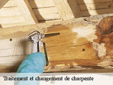 Traitement et changement de charpente  fontenay-76290 ECO Rénovation