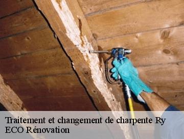 Traitement et changement de charpente  ry-76116 ECO Rénovation
