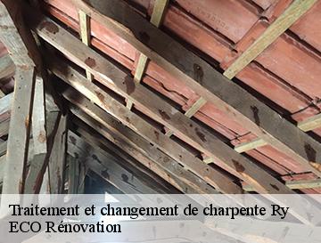 Traitement et changement de charpente  ry-76116 ECO Rénovation