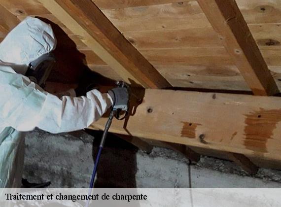 Traitement et changement de charpente  saint-jean-de-la-neuville-76210 ECO Rénovation