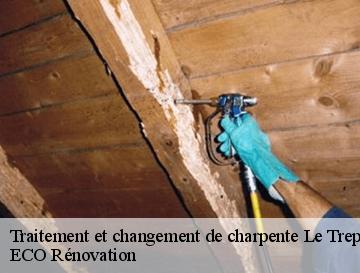 Traitement et changement de charpente  le-treport-76470 ECO Rénovation