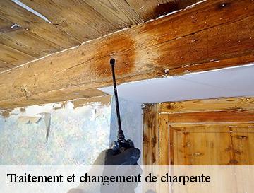 Traitement et changement de charpente  le-treport-76470 ECO Rénovation