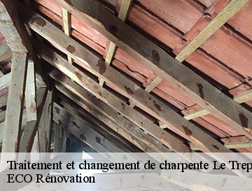 Traitement et changement de charpente  le-treport-76470 ECO Rénovation