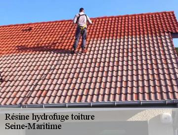Résine hydrofuge toiture 76 Seine-Maritime  ECO Rénovation