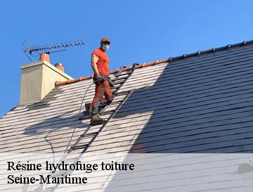 Résine hydrofuge toiture 76 Seine-Maritime  ECO Rénovation