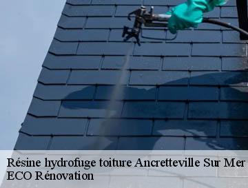 Résine hydrofuge toiture  ancretteville-sur-mer-76540 ECO Rénovation