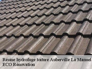 Résine hydrofuge toiture auberville-la-manuel-76450 ECO Rénovation