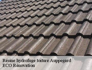 Résine hydrofuge toiture  auppegard-76730 ECO Rénovation