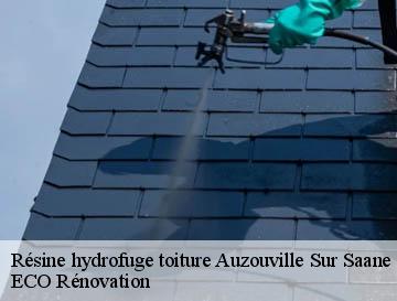 Résine hydrofuge toiture  auzouville-sur-saane-76730 ECO Rénovation