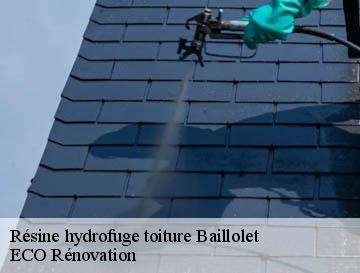Résine hydrofuge toiture  baillolet-76660 ECO Rénovation