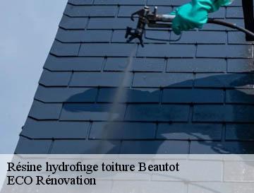 Résine hydrofuge toiture  beautot-76890 ECO Rénovation