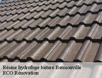 Résine hydrofuge toiture bermonville-76640 ECO Rénovation