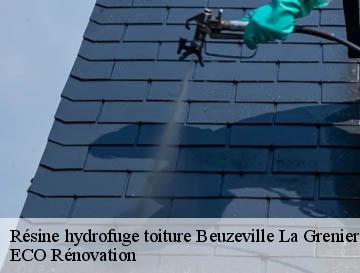 Résine hydrofuge toiture  beuzeville-la-grenier-76210 ECO Rénovation