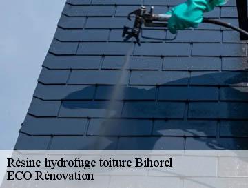 Résine hydrofuge toiture bihorel-76420 ECO Rénovation