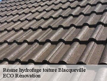 Résine hydrofuge toiture  blacqueville-76190 ECO Rénovation