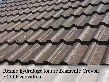 Résine hydrofuge toiture  blainville-crevon-76116 ECO Rénovation