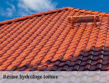 Résine hydrofuge toiture bois-guilbert-76750 ECO Rénovation