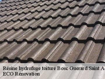 Résine hydrofuge toiture  bosc-guerard-saint-adrien-76710 ECO Rénovation