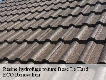 Résine hydrofuge toiture bosc-le-hard-76850 ECO Rénovation