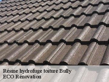 Résine hydrofuge toiture  bully-76270 ECO Rénovation