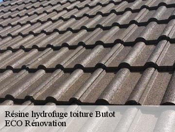Résine hydrofuge toiture butot-76890 ECO Rénovation