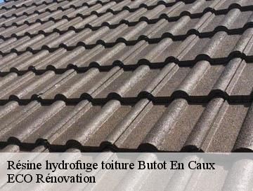 Résine hydrofuge toiture  butot-en-caux-76450 ECO Rénovation