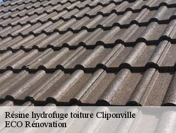 Résine hydrofuge toiture  cliponville-76640 ECO Rénovation