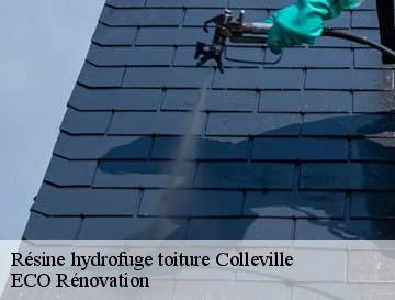 Résine hydrofuge toiture  colleville-76400 ECO Rénovation