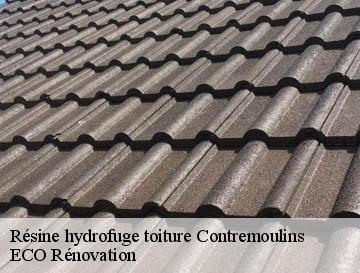 Résine hydrofuge toiture  contremoulins-76400 ECO Rénovation