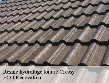Résine hydrofuge toiture cressy-76720 ECO Rénovation
