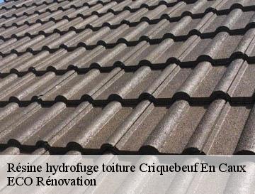 Résine hydrofuge toiture  criquebeuf-en-caux-76111 ECO Rénovation